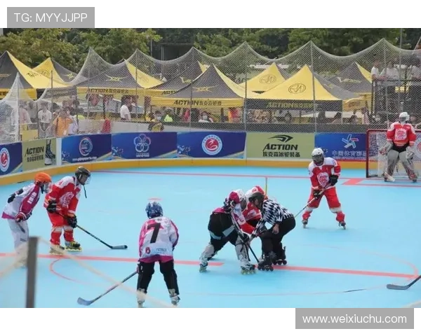 以职业联赛与单项赛为核心的竞技体育协同发展新格局研究模式探索